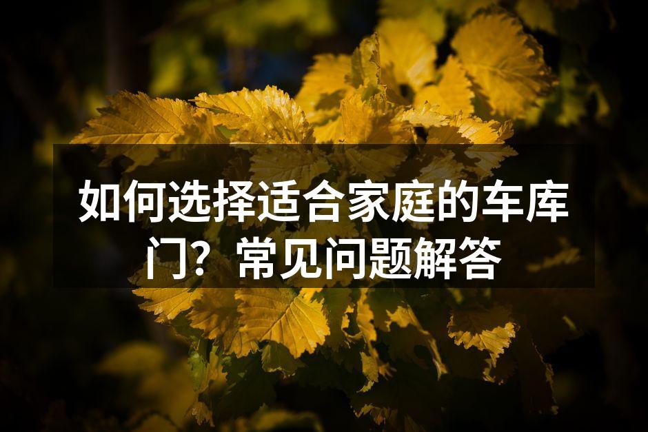 如何选择适合家庭的车库门?常见问题解答